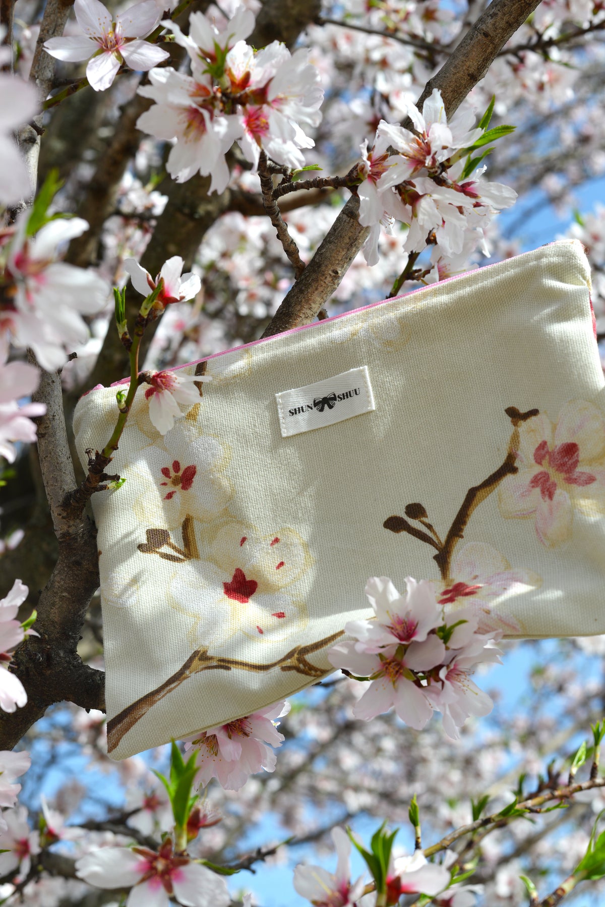 Haruka - Pochette classic S